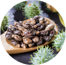 Ingredient image castor